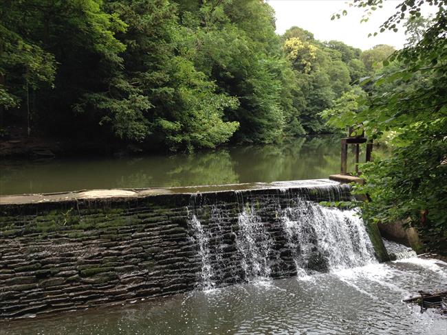 The River Frome