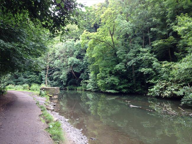 The River Frome